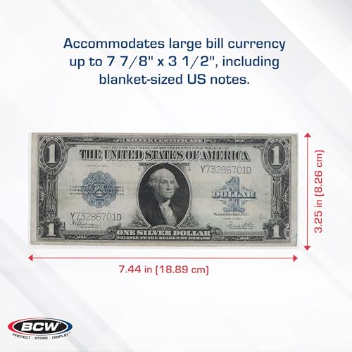 Large Bill Currency Sleeves - 100-Pack | Archival Safe Clear Protectors