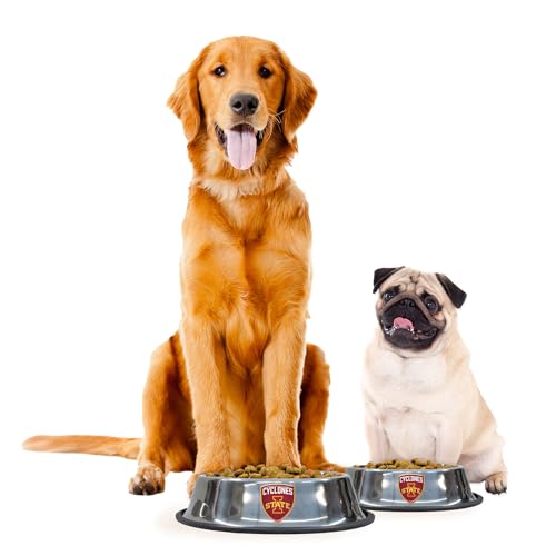 Large Iowa State Cyclones Pet Bowl - Durable Stainless Steel