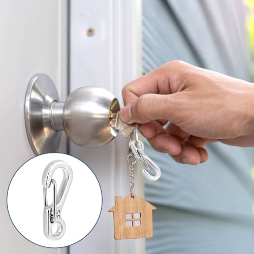 12 Pcs Mini Carabiner Clips - Stainless Steel Keychain Hooks