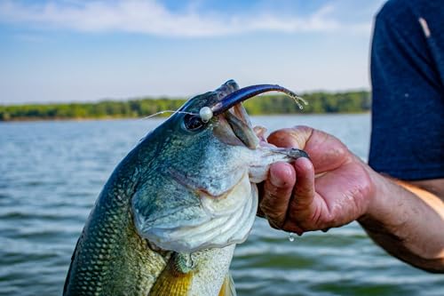 FF Sonar Minnow Soft Plastic Lure - Tenkiller Gold, 4"