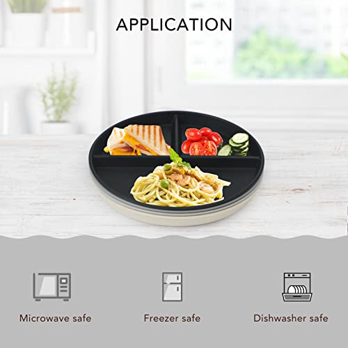 Grey Series 9 Inch Unbreakable Divided Plates - Set of 4, Reusable, BPA-Free
