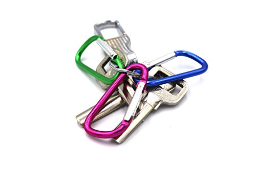 30pc D-Shaped Aluminum Alloy Carabiner Clips for Camping & Hiking