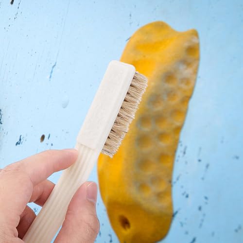Bouldering Brush with Boar's Hair Bristles and Long Handle