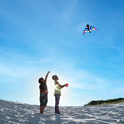 Large Triangle Beach Kite - Easy to Fly for Kids & Adults - Blue/Black