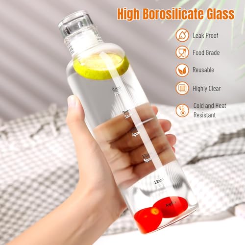 Clear Glass Water Bottle with Time Marker - 17 oz Hydration Tracker