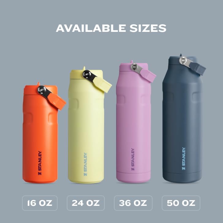 Stanley IceFlow Flip Straw 2.0 Water Bottle - 24 OZ Insulated Stainless Steel | Lightweight & Leak-Resistant | BPA-Free | Frost