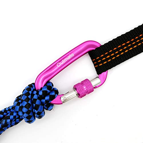 Heavy-Duty Aluminum Alloy Carabiner Clips - 12kN, 2 Pink