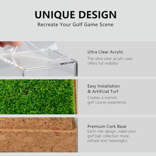 Golf Ball Display Case with Wooden Base & Tee - Clear Acrylic Holder