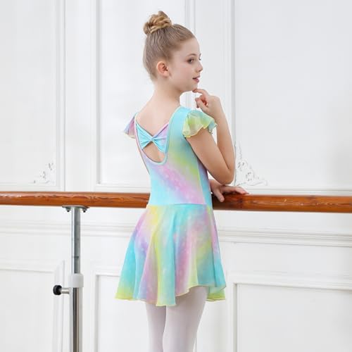 Girls Shiny Ballet Leotard Dress with Ruffle Sleeves - 4-6 Years Rainbow