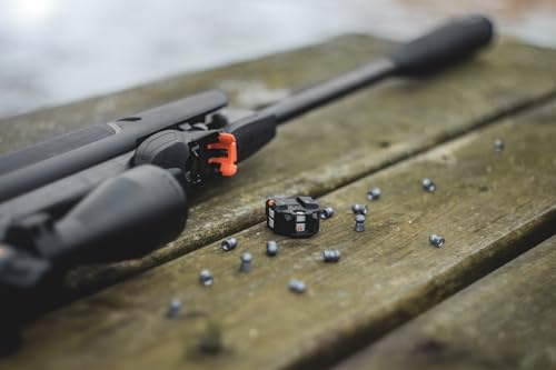 Gamo Swarm 10X GEN3i Magazine, .25