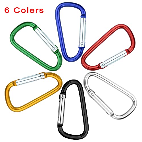 12 Pack Aluminum Carabiners with Keychains - D Ring Snap Hooks