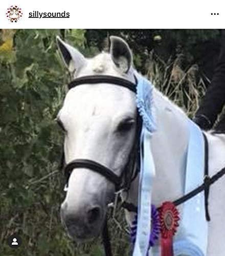 Equine Ear Plugs - 4 Pack for Horses - Grey