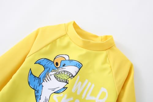 Toddler Boys Shark Swimsuit Set - Quick Dry Rashguard & Trunks 3-4T