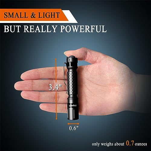 Mini LED Penlight Flashlight - 2-Pack Black & Gold, 3.4 in