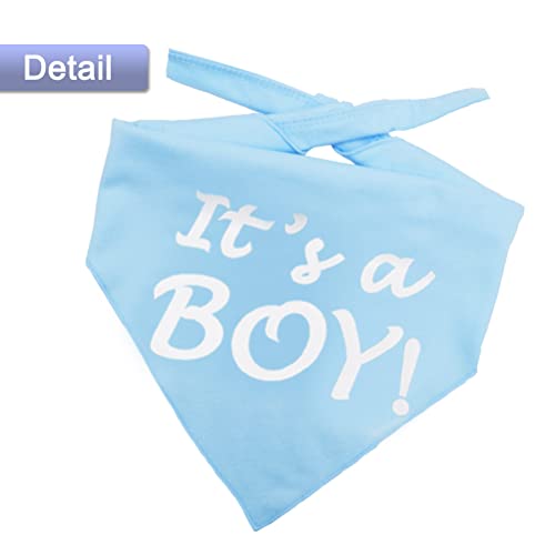 It's a Boy Dog Bandana - Pregnancy Announcement Pet Scarf