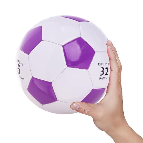 Size 2 Purple Soccer Ball with Pump - Indoor & Outdoor Training