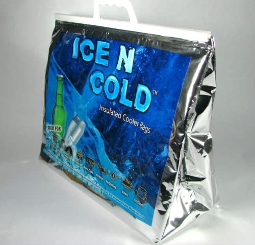 Insulated Picnic Cooler Bags - Lightweight Soft Collapsible, 35 lbs Capacity, Pack of 2