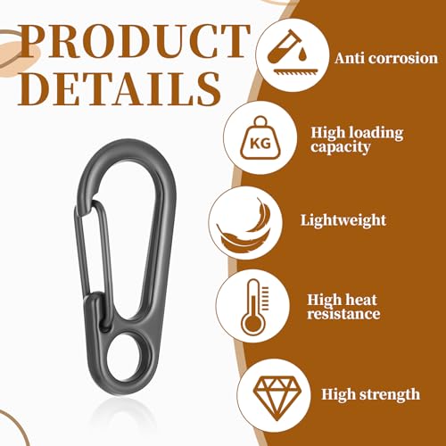 30 PCS Mini Carabiner Clip, Metal Spring Snap Hook Keychains Small
