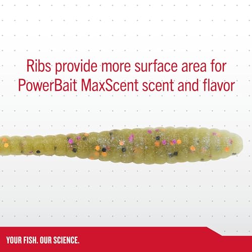 PowerBait MaxScent Flat Worm - Brown Back / 3.6"