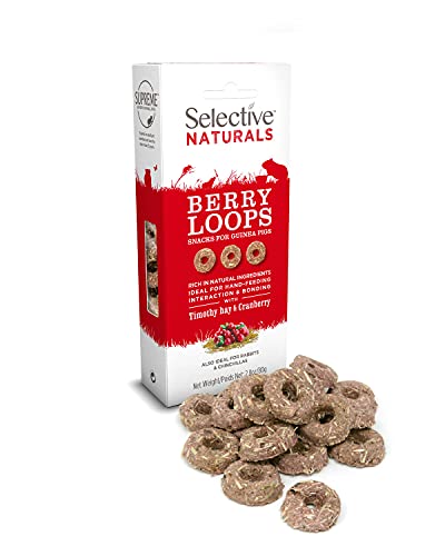 Berry Loops with Timothy Hay & Cranberry for Guinea Pigs - 2.8 oz