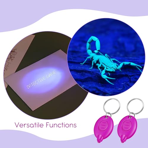 VIHOSE 100 Pcs UV Keychain Light 395nm Mini UV Keychain Flashlight Bulk Portable Tiny LED Light for Stain Detection & Scorpion Finder, Battery Included