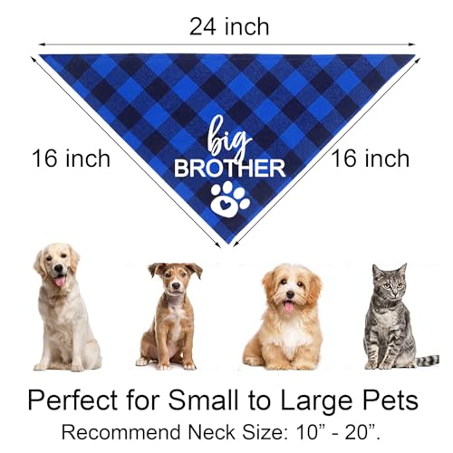 Big Brother Dog Bandana - Blue Plaid Pregnancy Announcement