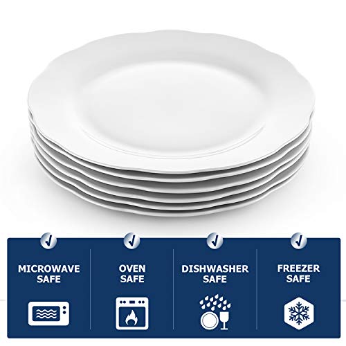 Y YHY Ceramic Dinner Plates Set of 6, 10.6 Inch White Porcelain Flatware for Holiday & Daily Use