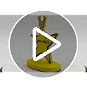 Funny Crowned Star Trophy - Meme-Inspired Award for Gags