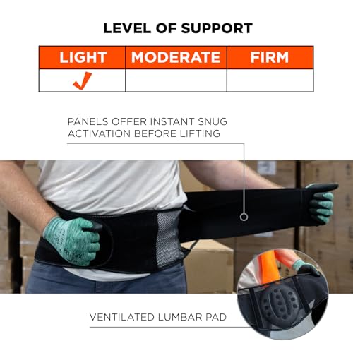 Ergodyne ProFlex 1051 Mesh Back Support Medium Black - Lumbar Brace for Injury Prevention