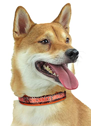 Cincinnati Bengals Adjustable Pet Collar for Dogs & Cats - Medium