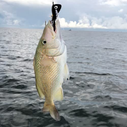 Fly Fishing Poppers Kit - 10pcs Topwater Lures for Bass & Trout
