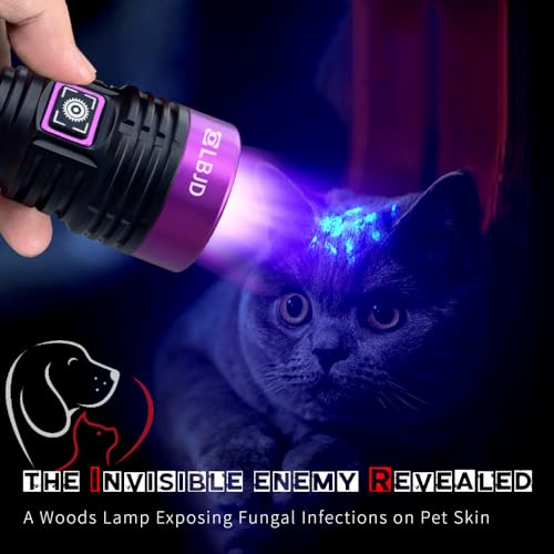 LBJD Rechargeable UV Black Light Flashlight 365nm for Pet Urine Detection - Black & Purple