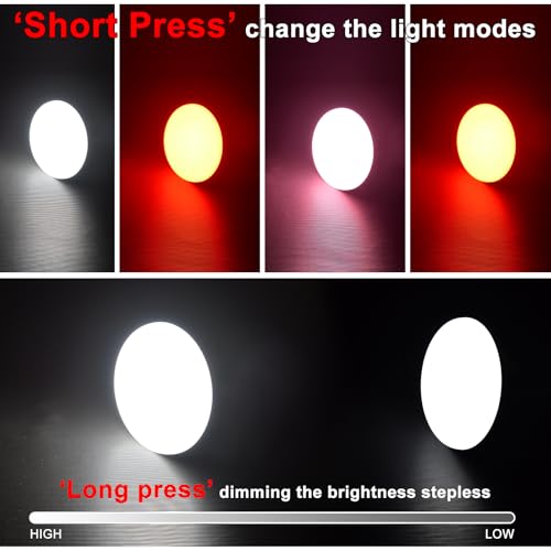 10000mAh Rechargeable Red Light Camping Light Insect Not Attract 4000LM Work Light White/Red/Pink/SOS Brightness Stepless Dimming, IP45 Waterproof Tent Light Power Failure