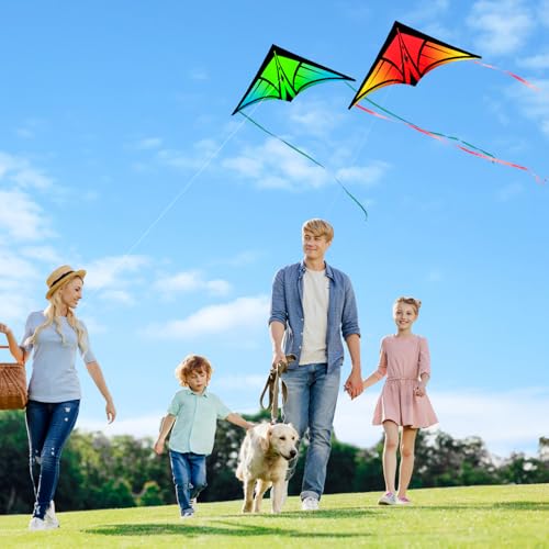3-Pack Delta Kites for Kids & Adults - Easy to Fly with Bright Gradient Colors