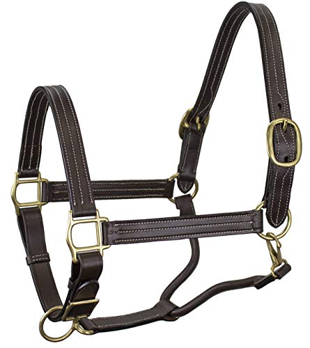 Derby Originals Cob Havana Leather Horse Halter with Triple Stitch & Adjustable Fit