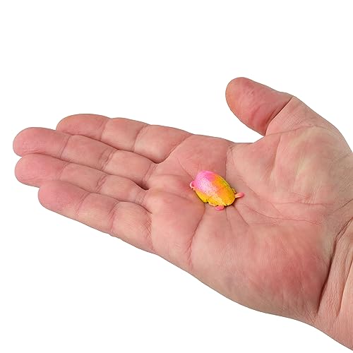 Saltwater Surf Bytes Sand Fleas - Pink Fuze