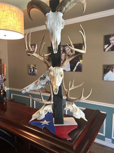 European Mount Skull Hanger with Silicone Protector - Stainless Steel - Black