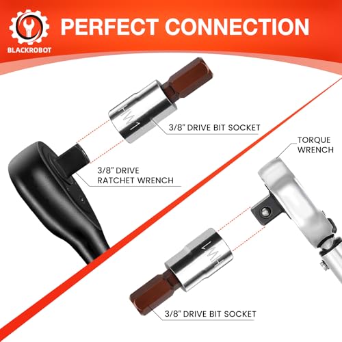 BLACKROBOT 11 mm Hex Bit Socket, 3/8 Inch Drive HW11 Allen Key Socket, Metric, Full Polished, S2 Steel Head Made For Repairing