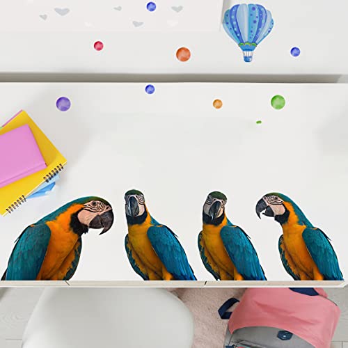 Removable 3D Exotic Pet Birds Wall Stickers, Parakeet Macaw Parrot Wall Decals, Peel and Stick Living Room Kids Bedroom Office Wall Decor