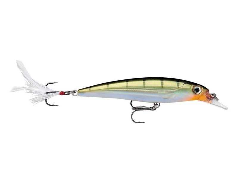 Rapala X-Rap Jerkbait 10 Fishing lure (Silver , Size- 4), XR10S