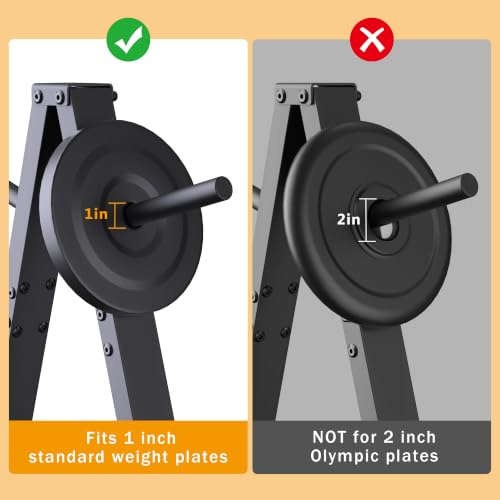 Weight Plate Rack Tree Holds 300 LBS | 1-Inch Standard Weight Plates
