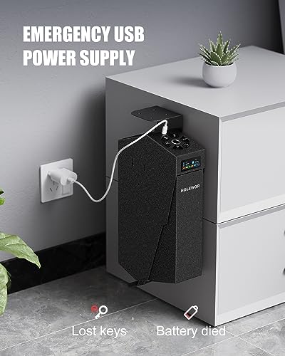 Biometric Gun Safe for Handgun - Quick Access Passcode & Fingerprint