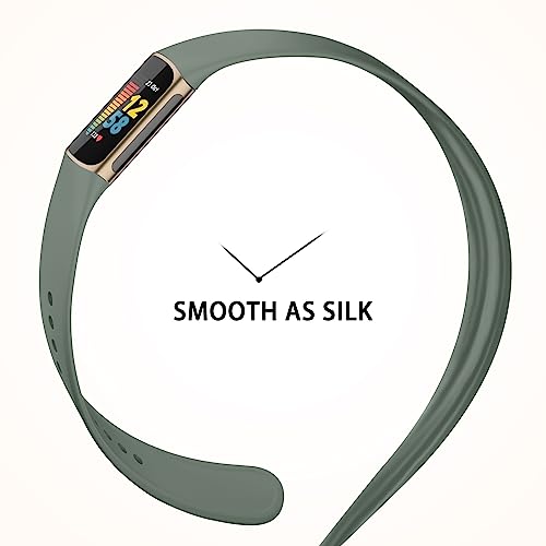 Silicone Sport Band for Fitbit Charge 6 - Cactus Color