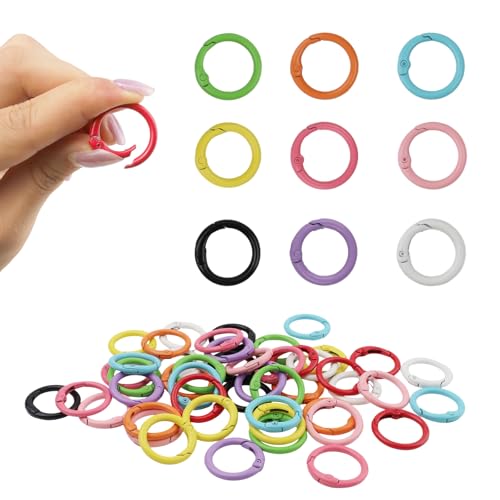 48-Pack Multicolor 1-Inch Round Carabiner Clips - Durable Metal Key Rings