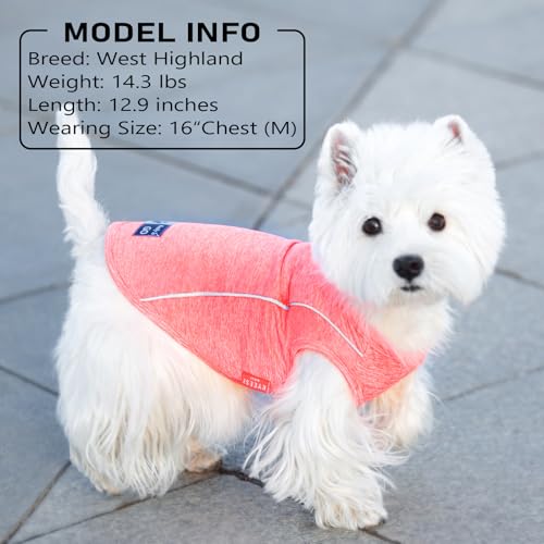 Reflective Dog Shirt for Small Dogs - Lightweight Sun Protection Tank Top - Coral Red, Size S