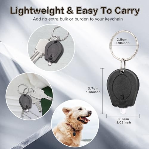 Ultra Bright Mini LED Keychain Flashlight - White Light, 6 Pack