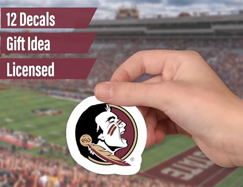 Florida State Seminoles Stickers & Decals Set - 14 Pieces