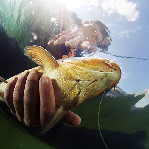 Fishing Bobber Stopper Rings - 1200 Pcs Small Oval Shape