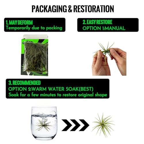 Bass Fishing Creature Bait Set with 20 Dice Lures and Sinkers