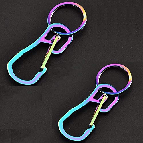 2 Pack Titanium Carabiner Clip Keychain Set - Quick Release Hooks